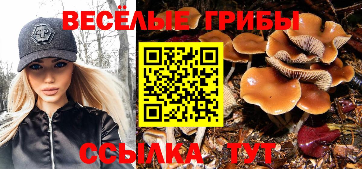 Галлюциногенные грибы мицелий  Вход с VPN  Находка 
